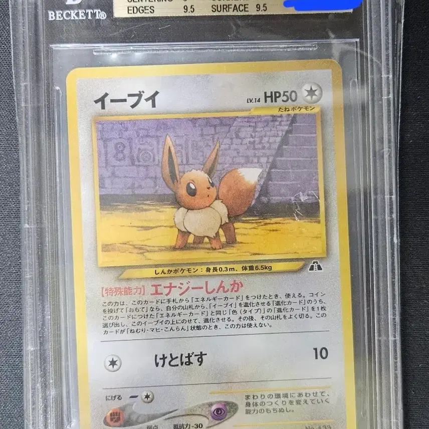 포켓몬 카드 이브이 2000년 일판 BGS 9.5점