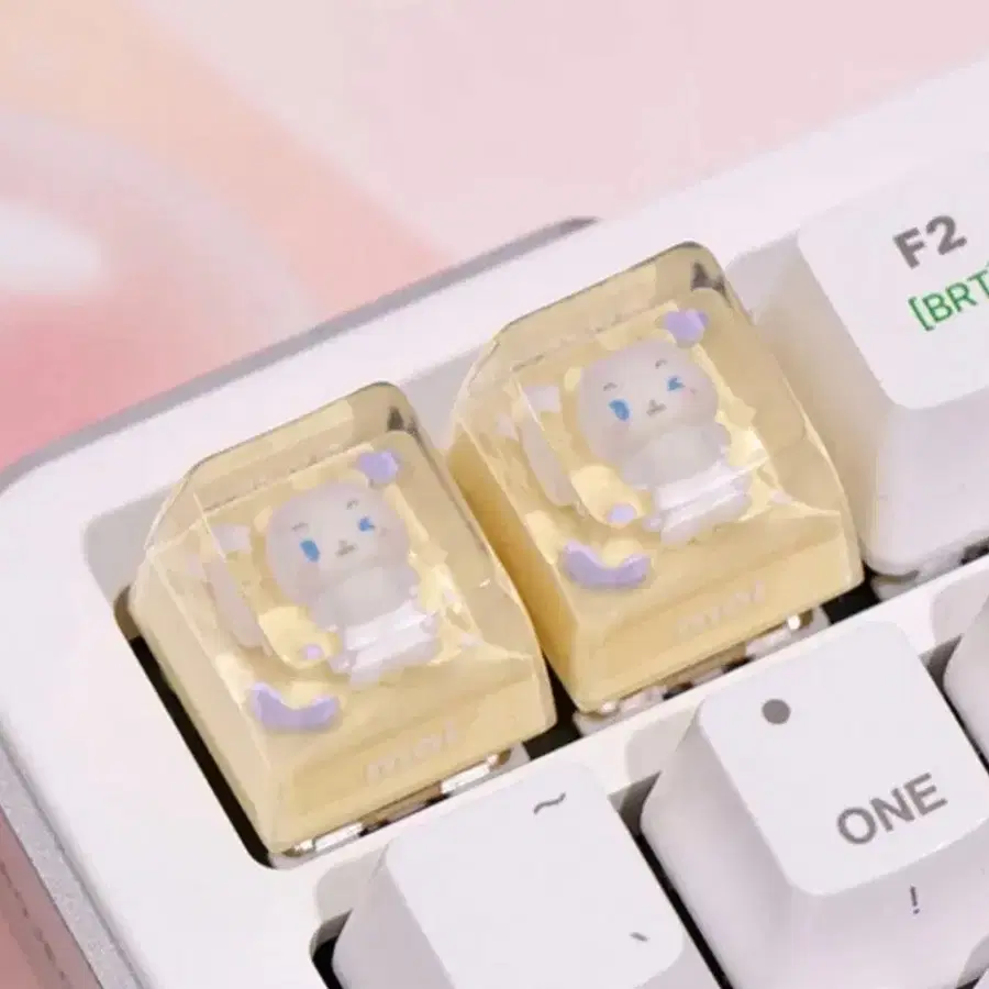 플레이브 라인프렌즈 키캡