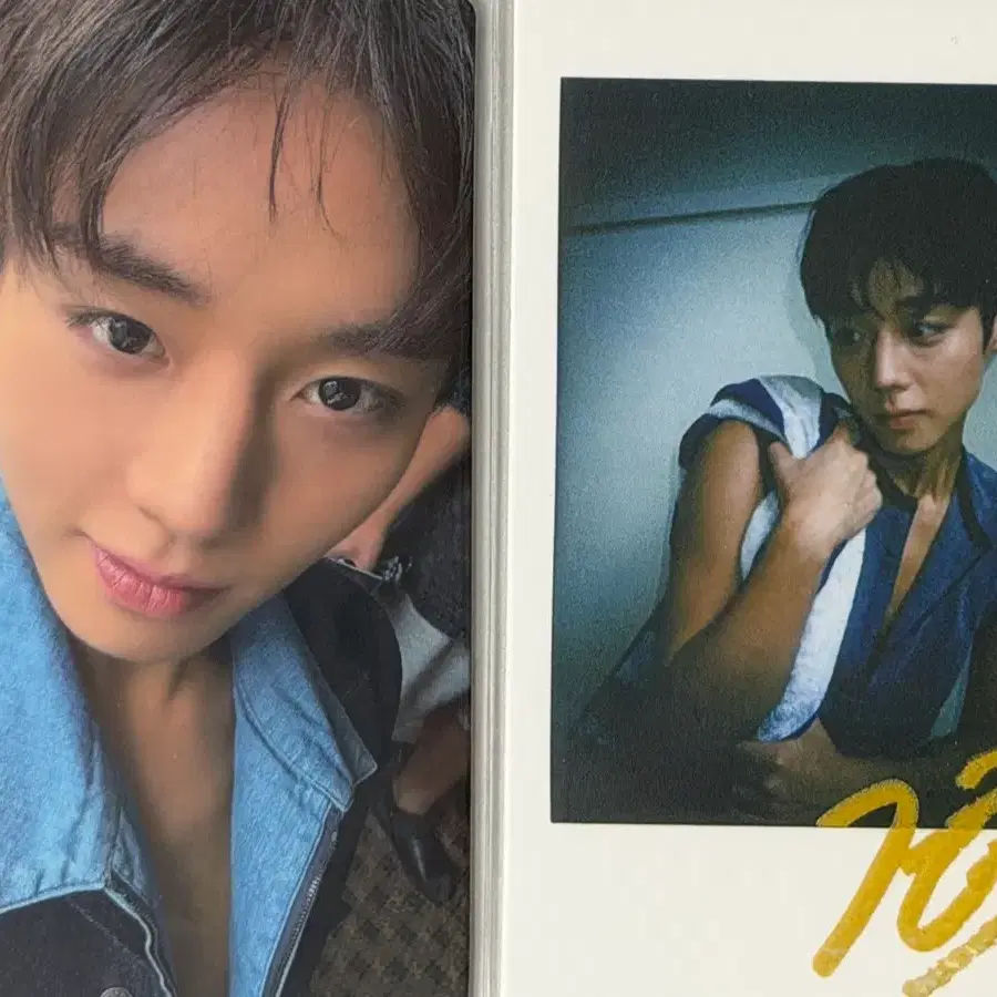 (일괄2장) 박지훈 시터 포카&폴라