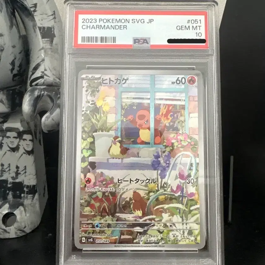 포켓몬카드 파이리 프로모 psa 10