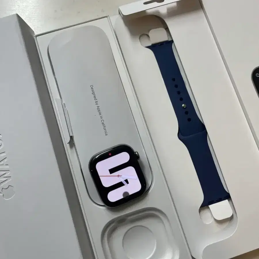애플워치 11 46mm 내추럴 티타늄 급처