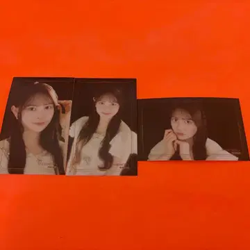 이토 모모카 AKB48 2026년 8월 랜덤 하프 브로마이드 3종 컴프