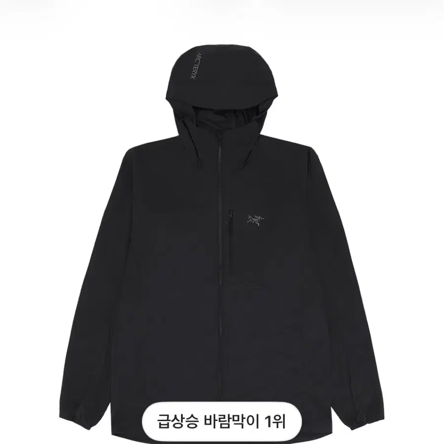 아크테릭스 스쿼미시 후디 블랙 L