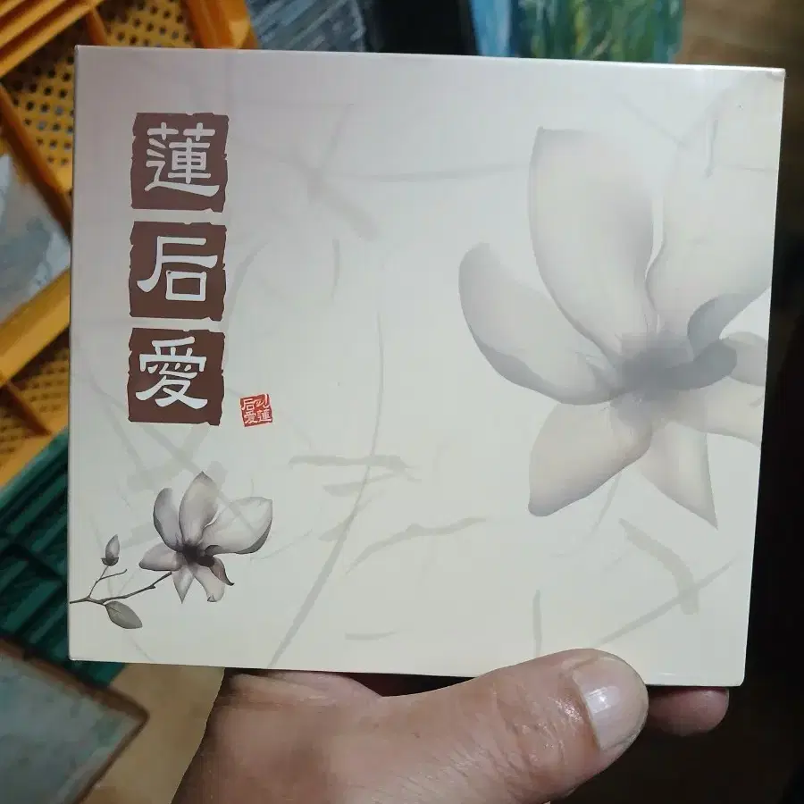연후애 박스(미개봉)CD