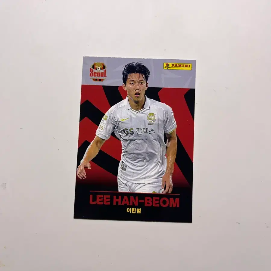 서울 이한범 축구 파니니