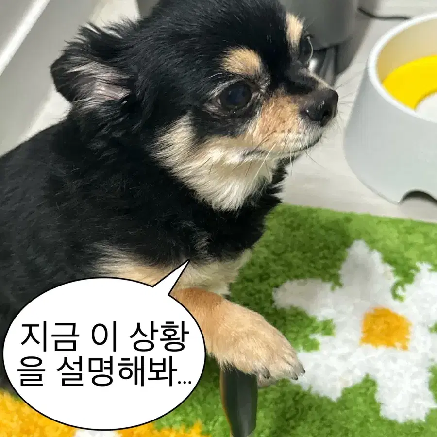 루파상점 오므라이스 클릭커 키링