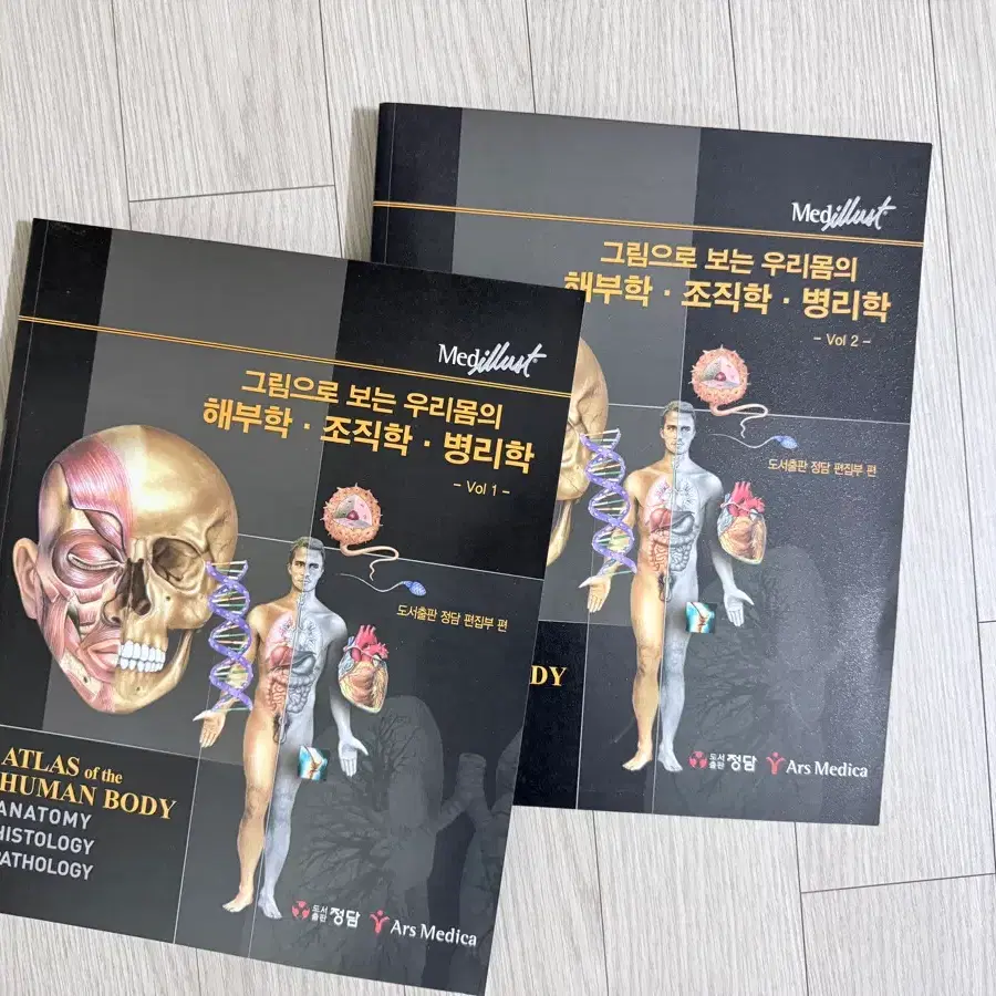 메길러스트 인체해부학 조직학 병리학 전집