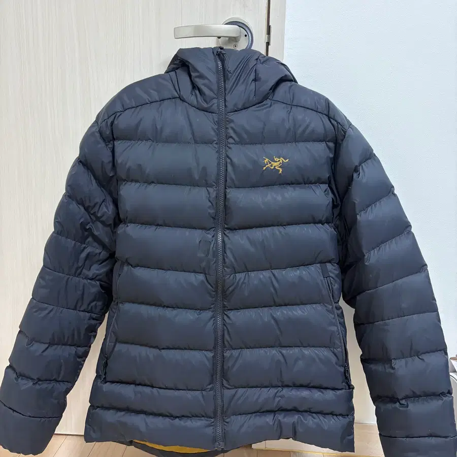 아크테릭스 토륨 AR 후디 24K 블랙
