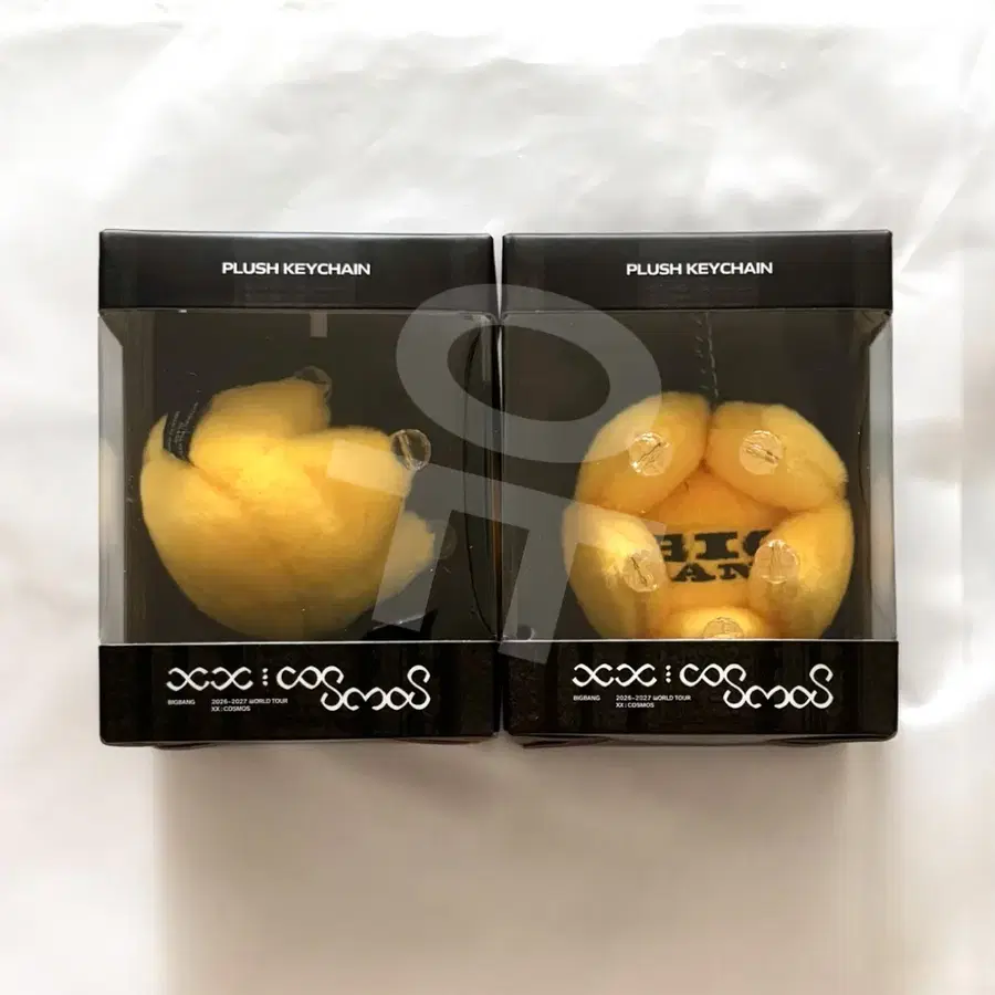 미개봉 빅뱅 싱가포르 판매하는 플러시 키링 열쇠고리 20주년 MD 굿즈 BIGBANG plush keychain