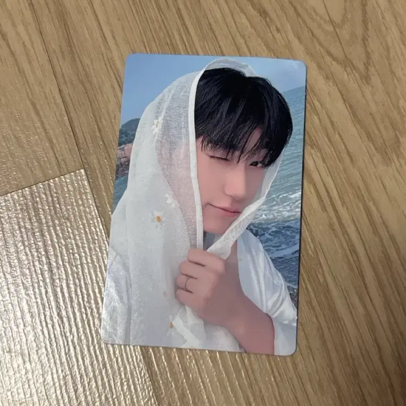 에이티즈 8주년 전시회 트레카 산 포토카드 베일 san pc 포카 ateez trading card 8th Anniversary Exhibition