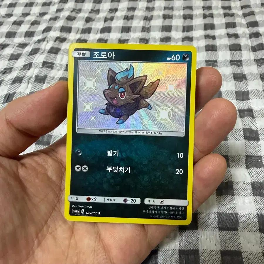 포켓몬 카드 조로아 이로치