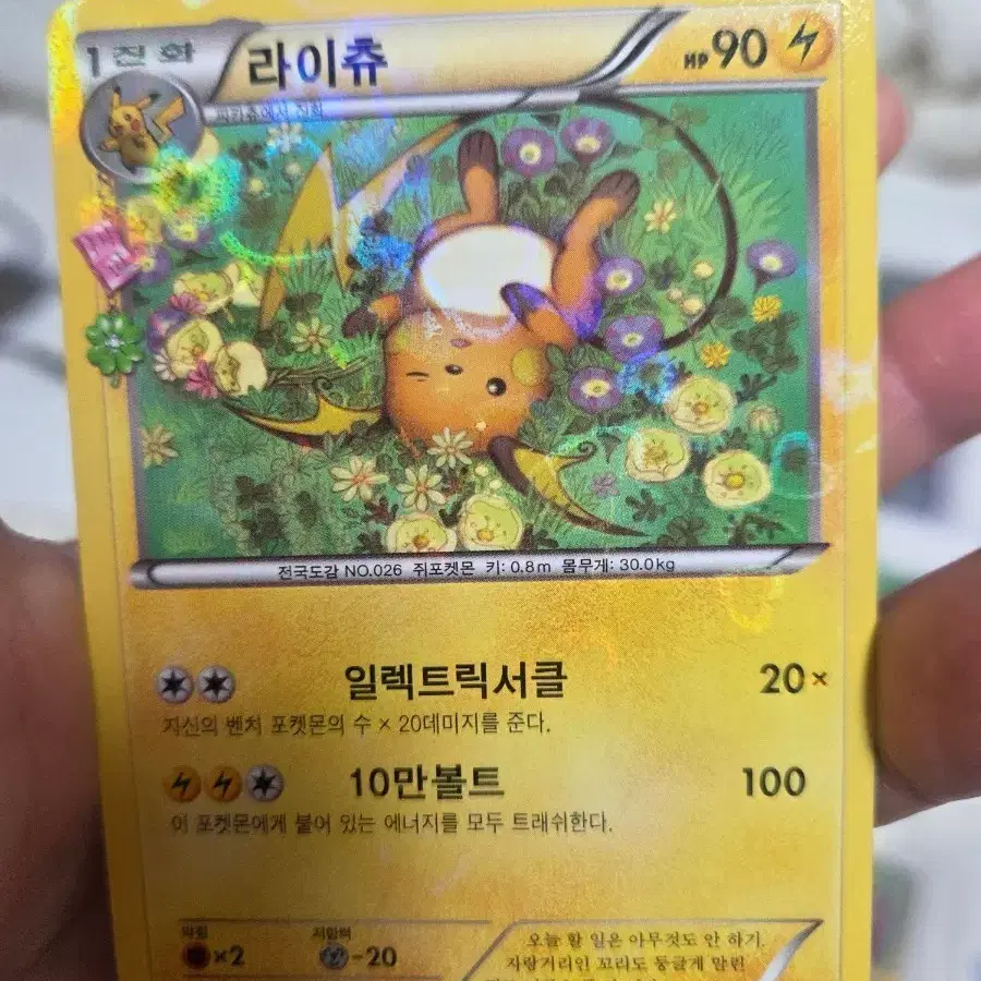 포켓몬 카드 라이츄 홀로그램 심쿵