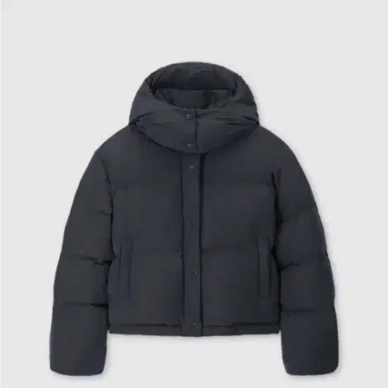 공드린 패딩
