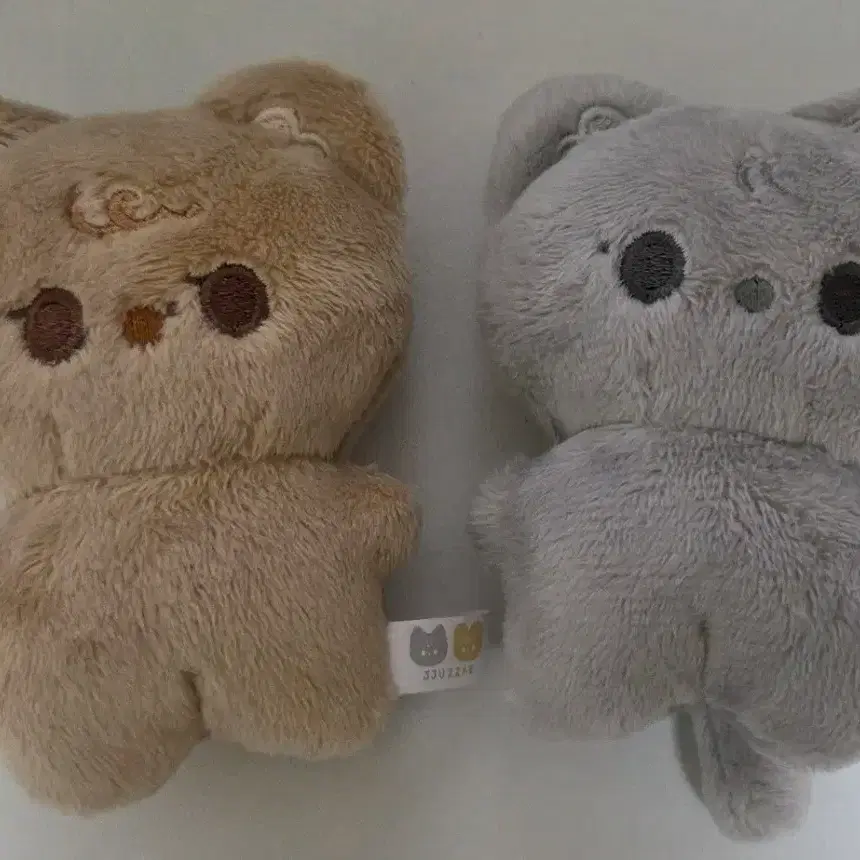 더보이즈 주연현재 쭈먕 째링