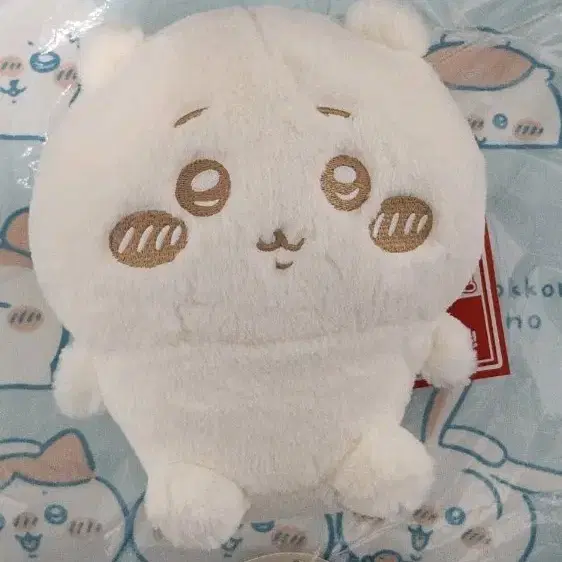 치이카와 누이 팔레트 누이 인형 먼작귀