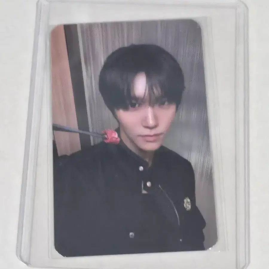 하이디라오 재희 포카