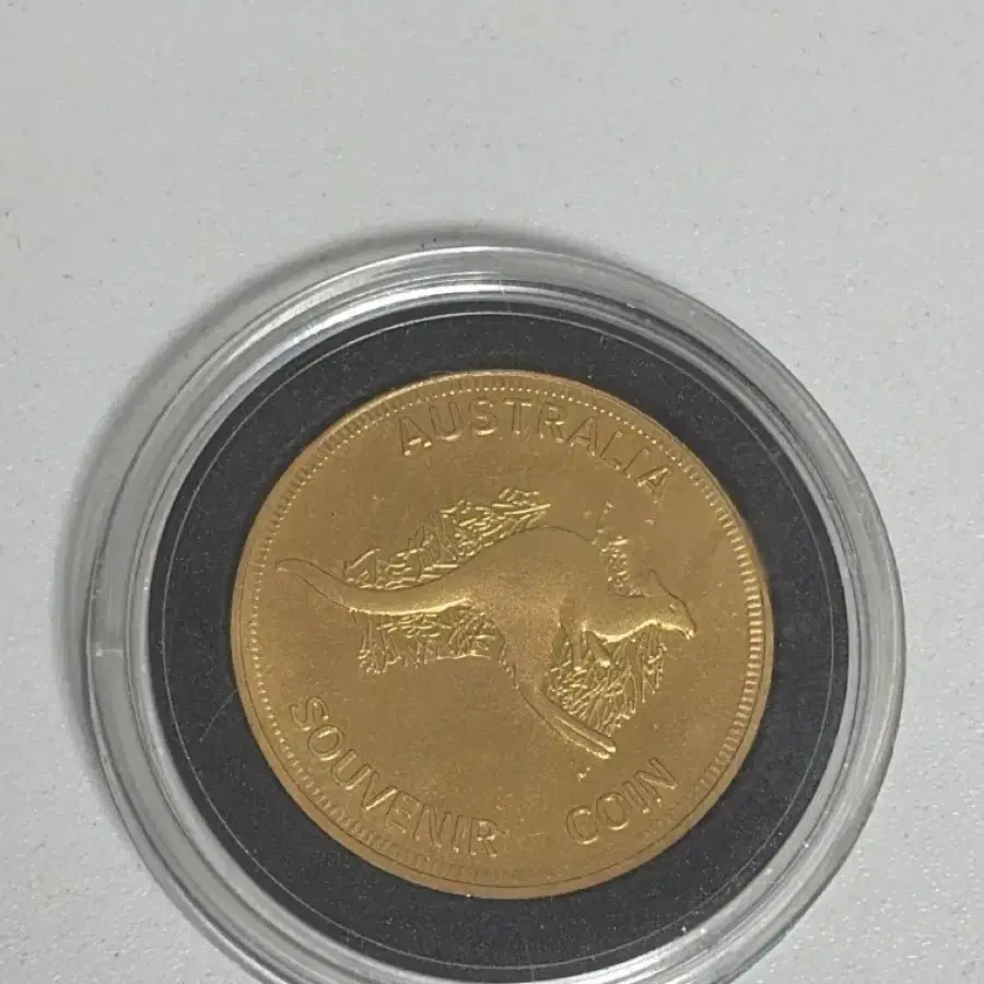 호주 AUSTRALIA 기념주화 SOUVENIR COIN 케이스 포함 판매
