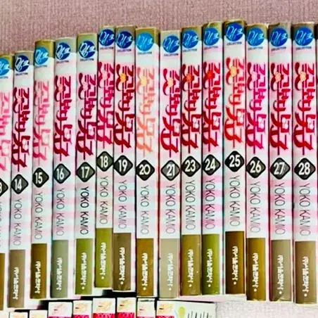 꽃보다 남자 완결 + 캣스트리트