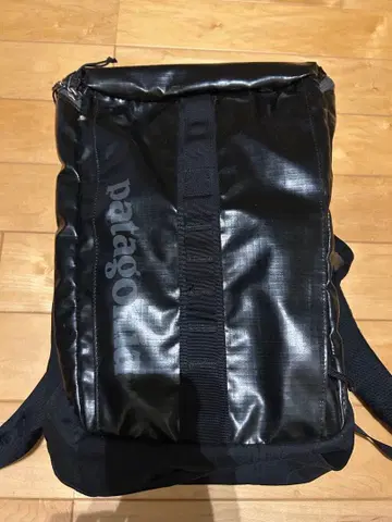 patagonia 파타고니아 럭색 백 남성용 여성용 25L
