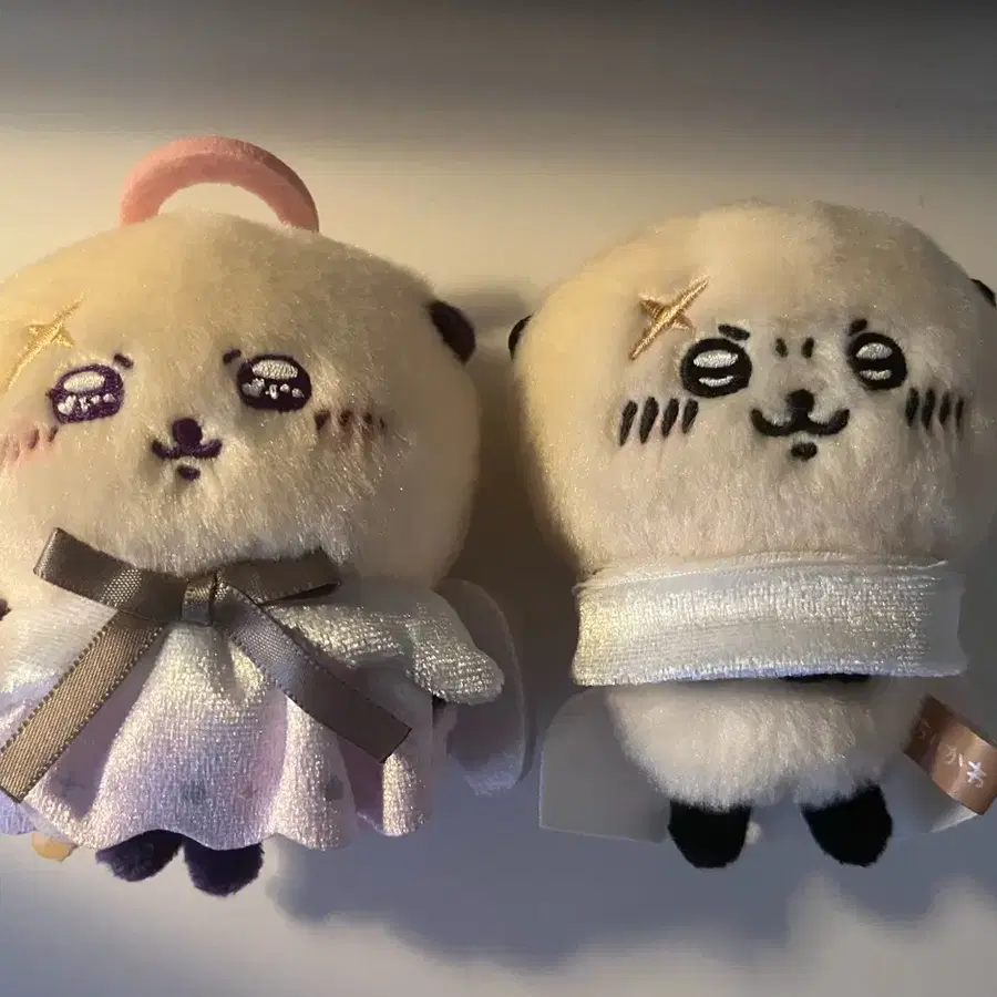 천사 랏코 기본 랏코 누이