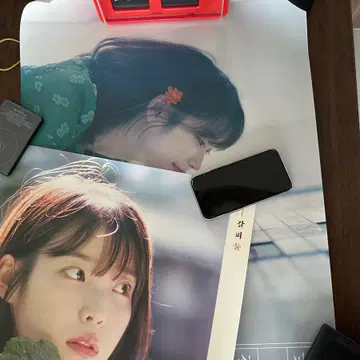 아이유 꽃갈피 둘 (공식 포스터 3장 포함) | 음반/영상물 | 번개장터