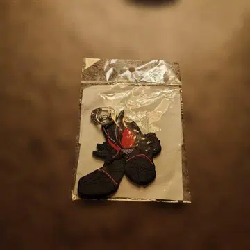 가면라이더 BLACK SUN 러버 참