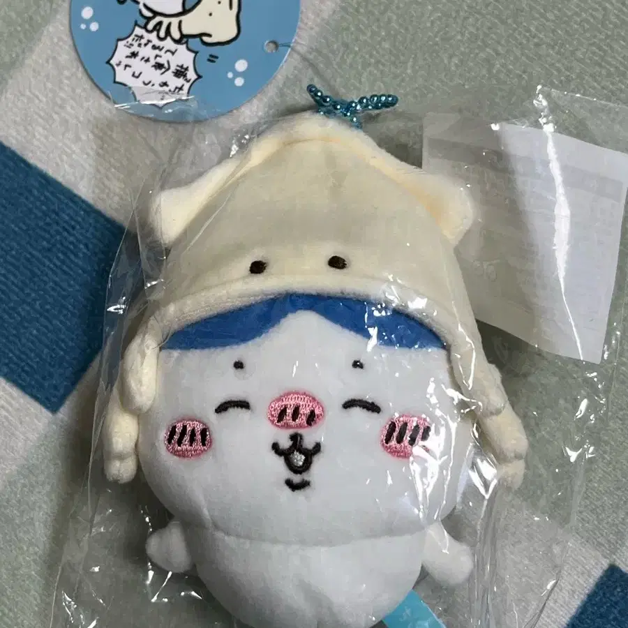 수족관 오징어 하치와레 마스코트