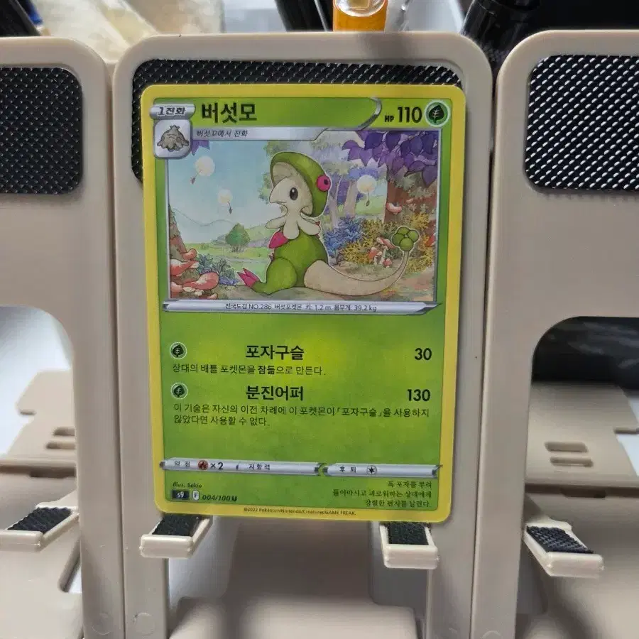 포켓몬 카드 버섯모