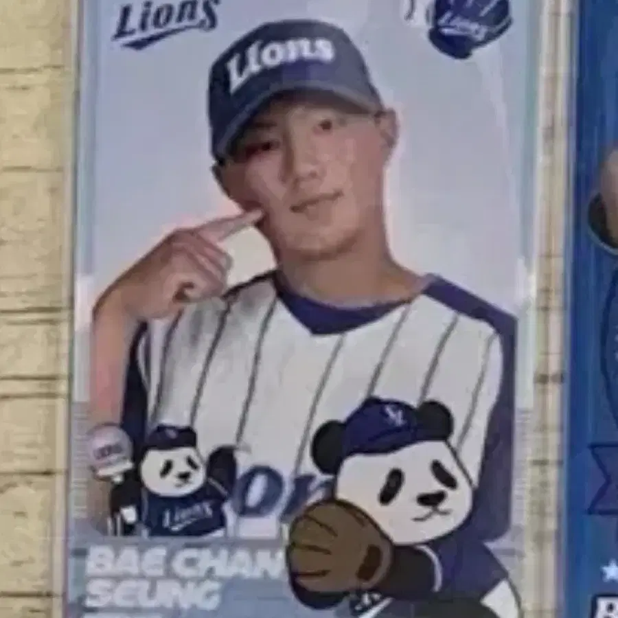 배찬승 바오 포카