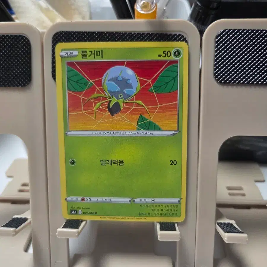 포켓몬 카드 물거미