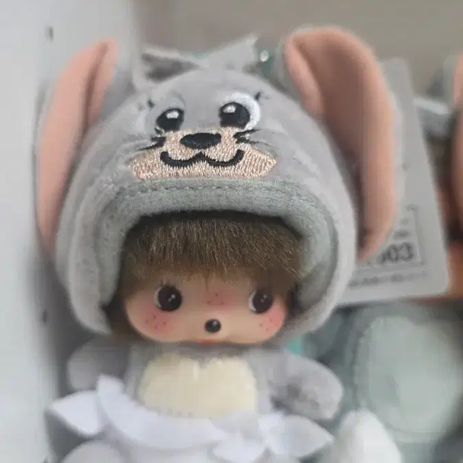톰 베비치치