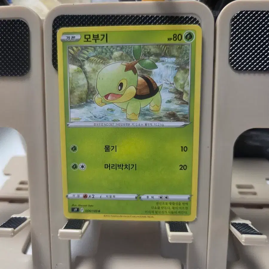 포켓몬카드 모부기 풀 타입