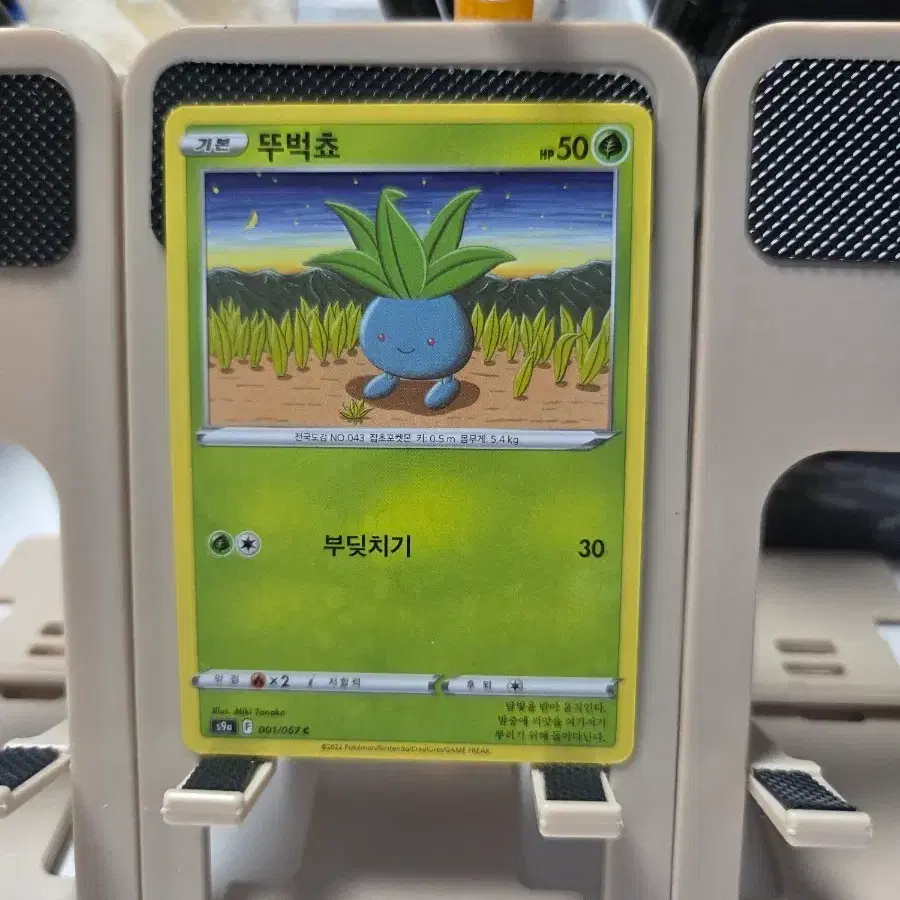 포켓몬 카드 뚜벅쵸