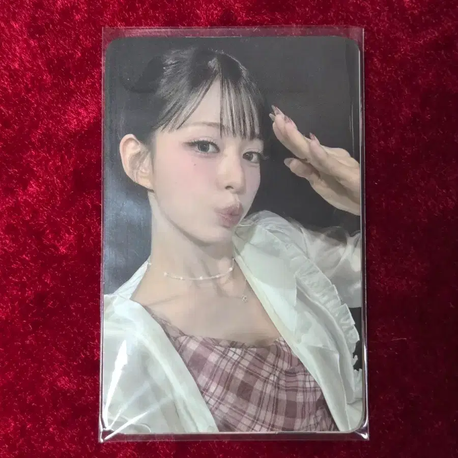 프로미스나인 콘서트 첫콘 맴버십 포카