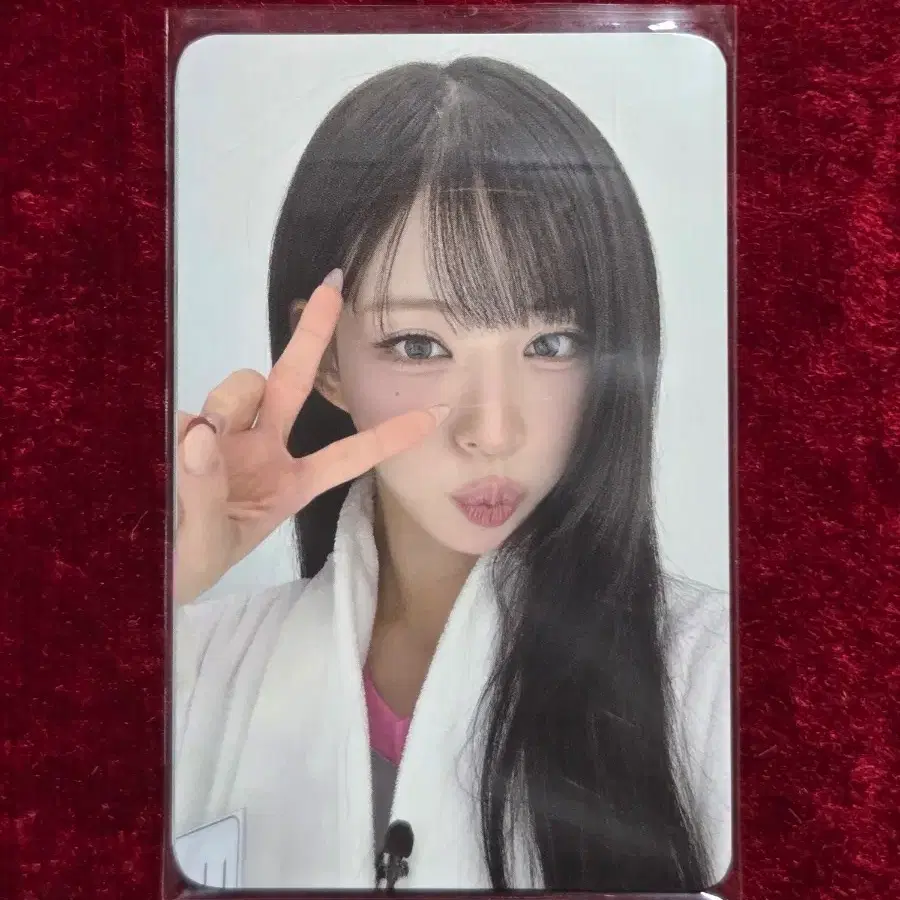 프로미스나인 콘서트 중콘 맴버십 포카