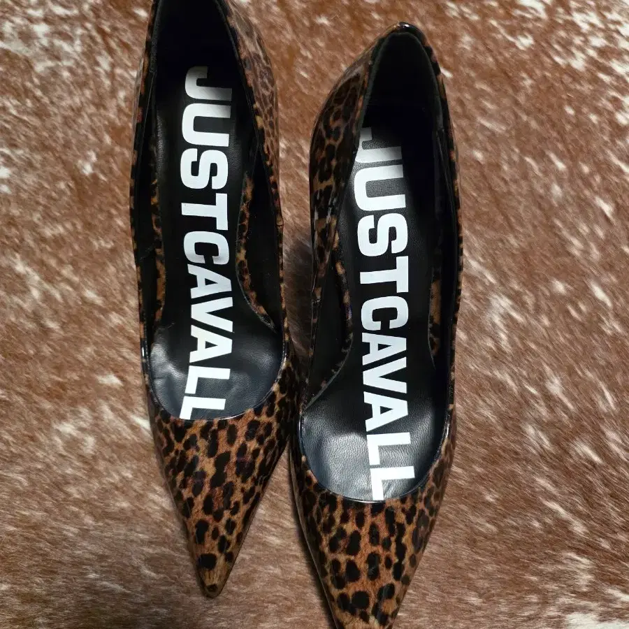 저스트 카발리(Just Cavalli) 레오파드 페이턴트 펌프스 / 미착용 새상품