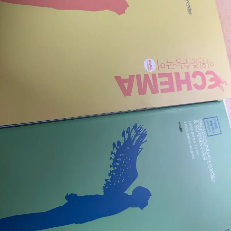 이원준 ECHEMA 익히마 수능특강, 수능완성