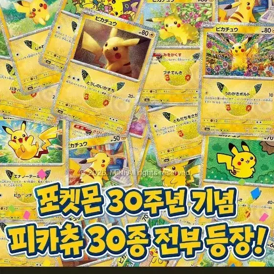 포켓몬 30주년 피카츄 30종 카드 일판