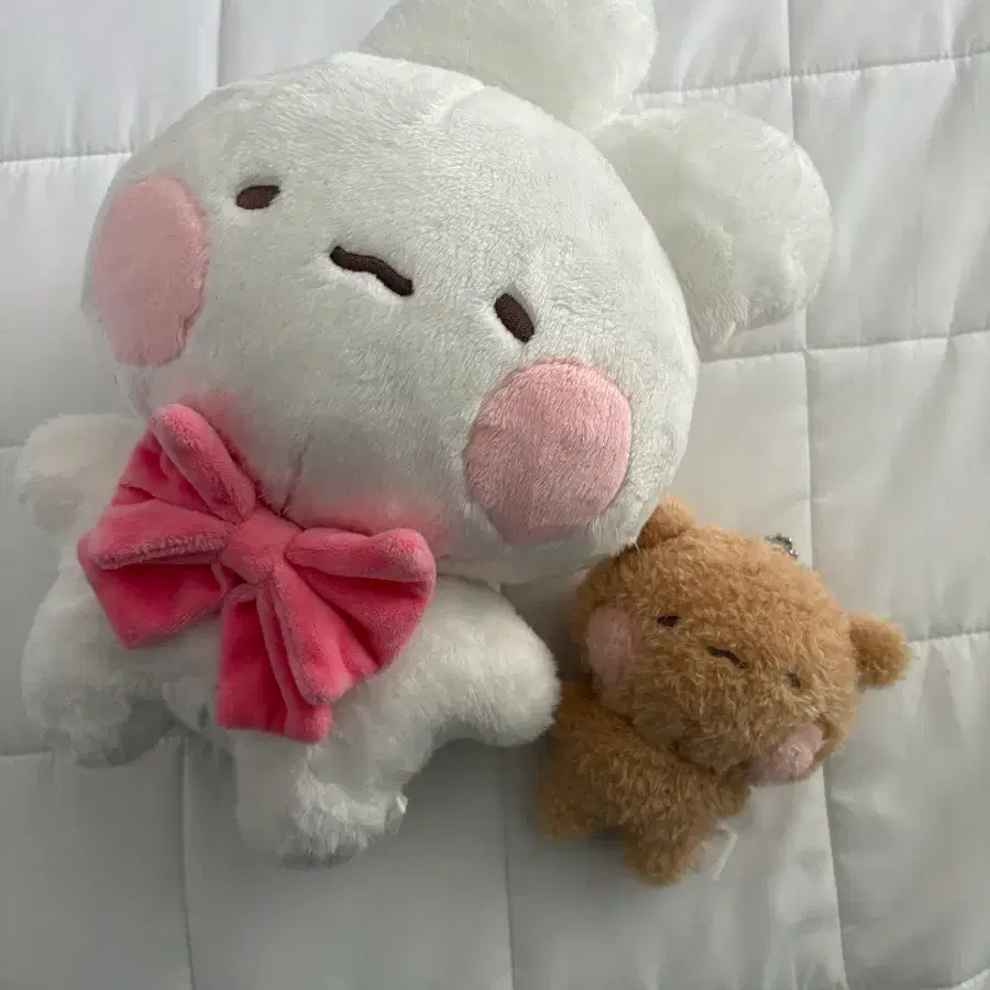 토심이 토뭉이 인형 세트