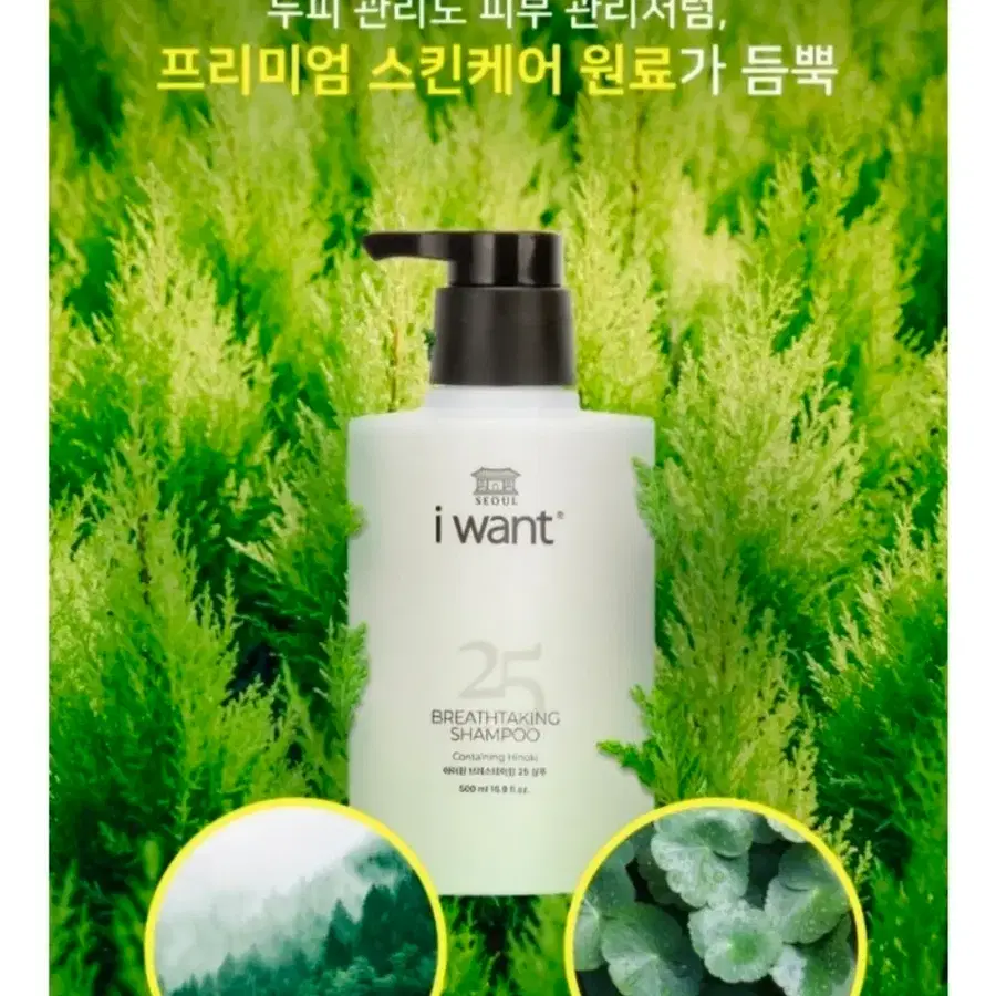 아이원 브레스테이킹 샴푸 500ml