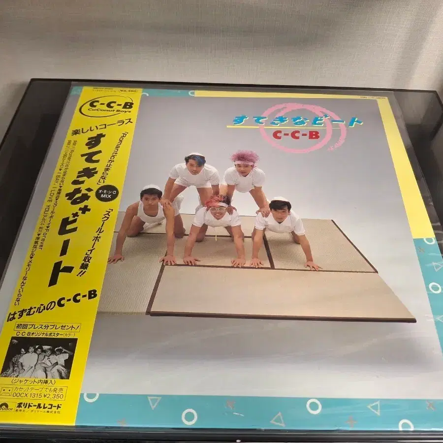 <시티팝 LP> C-C-B 코코넛 보이즈 한정판 엘피 - 포스터 수록