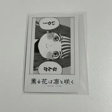 향기로운 꽃은 늠름하게 핀다 원작 폴라로이드풍 카드 모디 카오루코