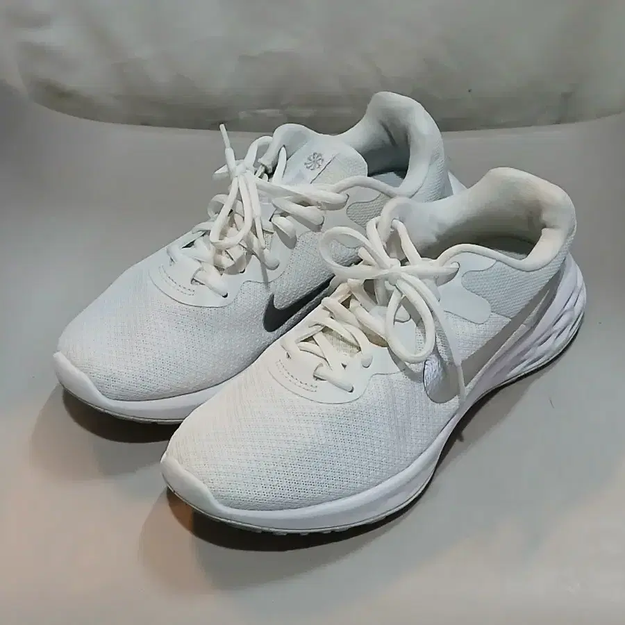 나이키 레볼루션 6 245mm