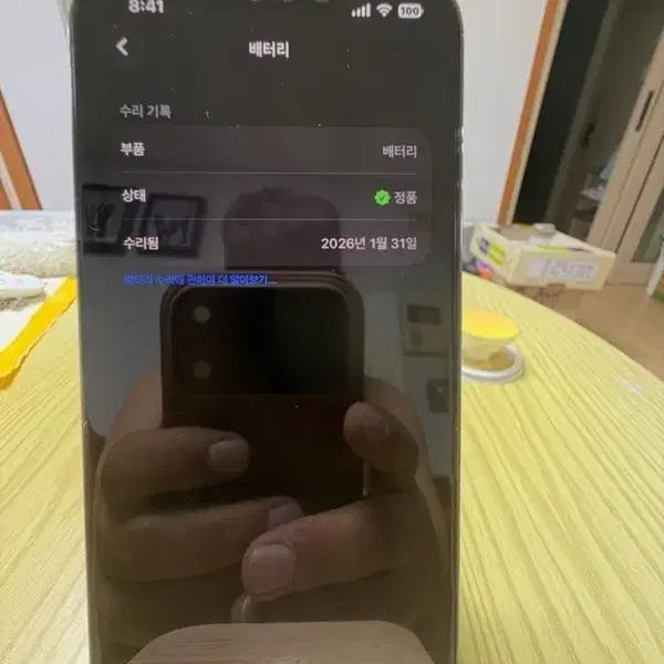 13프로시에라블루256GB