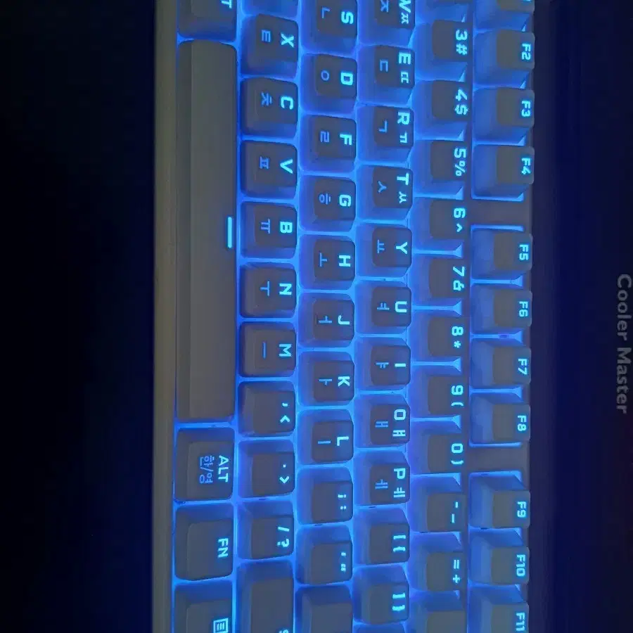 씽크웨이 토체티 301 키보드