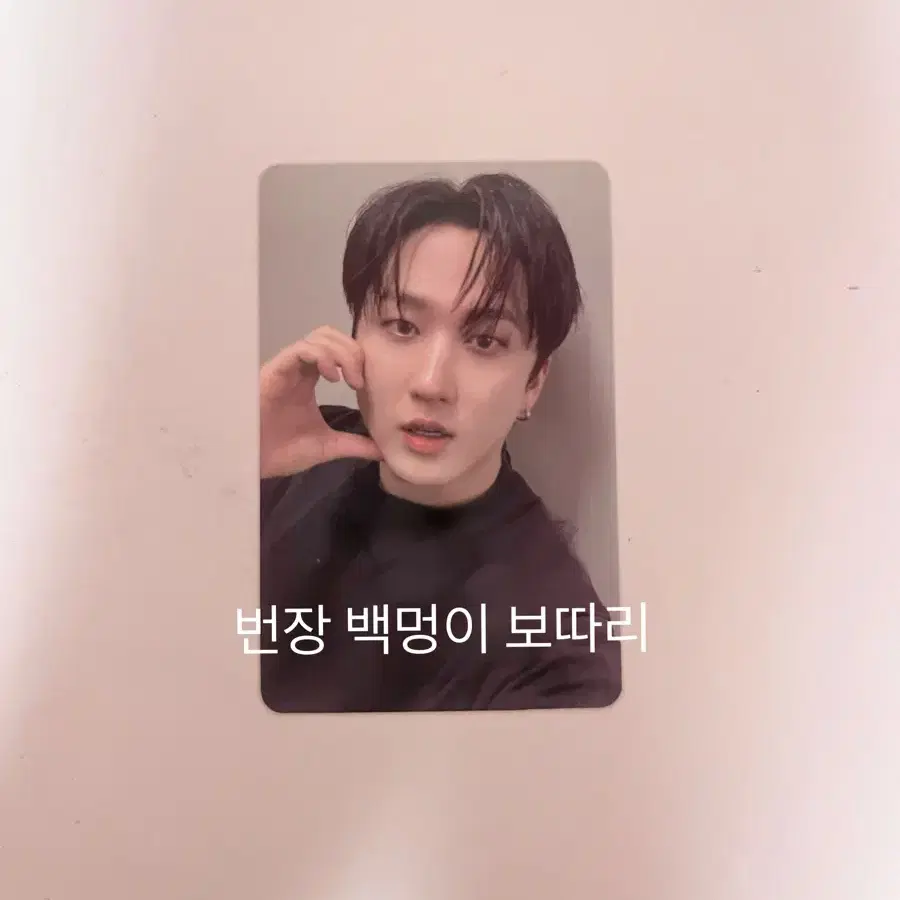 스트레이키즈 스키즈 현진 창빈 리노 방찬 str aykids stray kids photocard 포카 팝업 스키주 skz skzoo 싸인포카