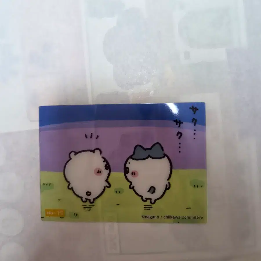 치이카와 하치와레 투명포카