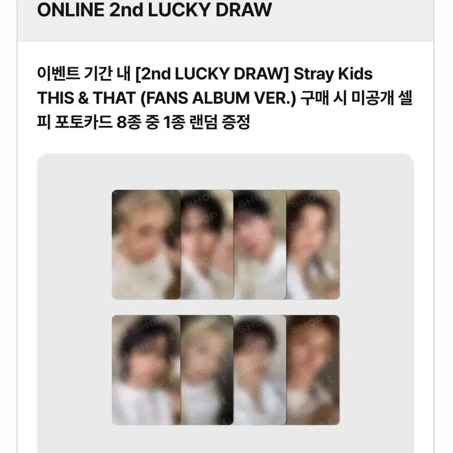 스트레이키즈 포토카드 팬즈 럭드 분철