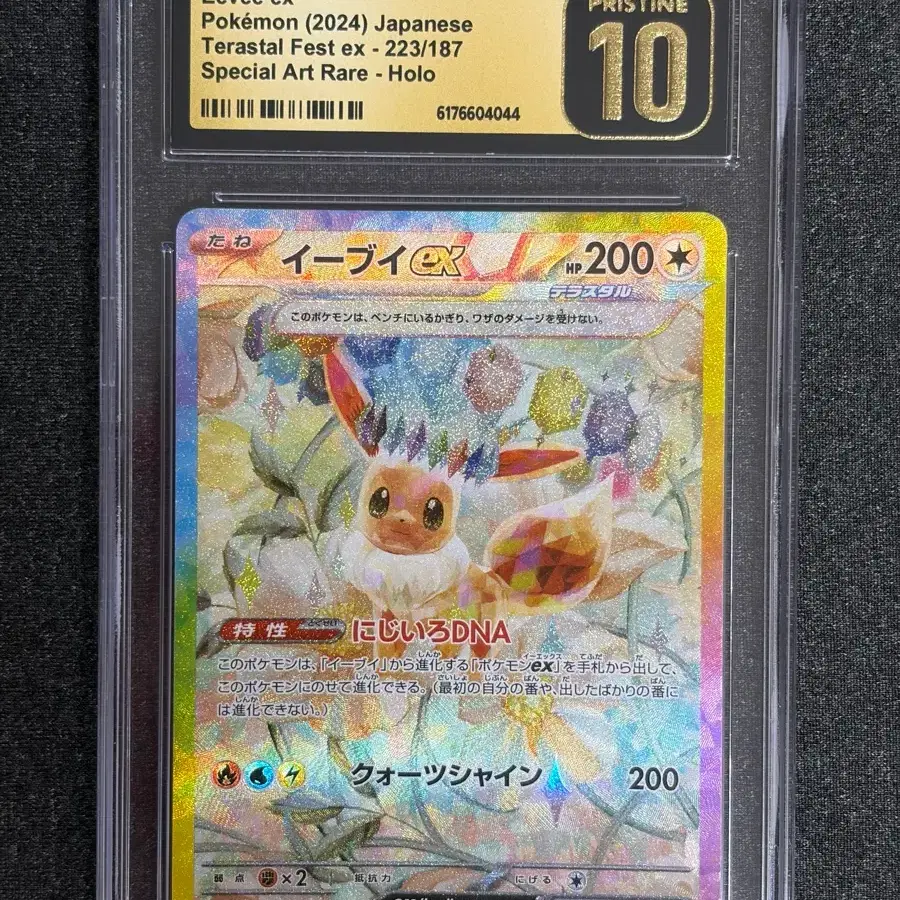 [일판 CGC 10 Pristine] 포켓몬카드 이브이 SAR (테라스탈페스타)