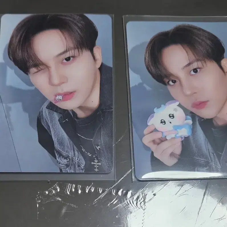 에이티즈 마이티즈 종호 포토카드